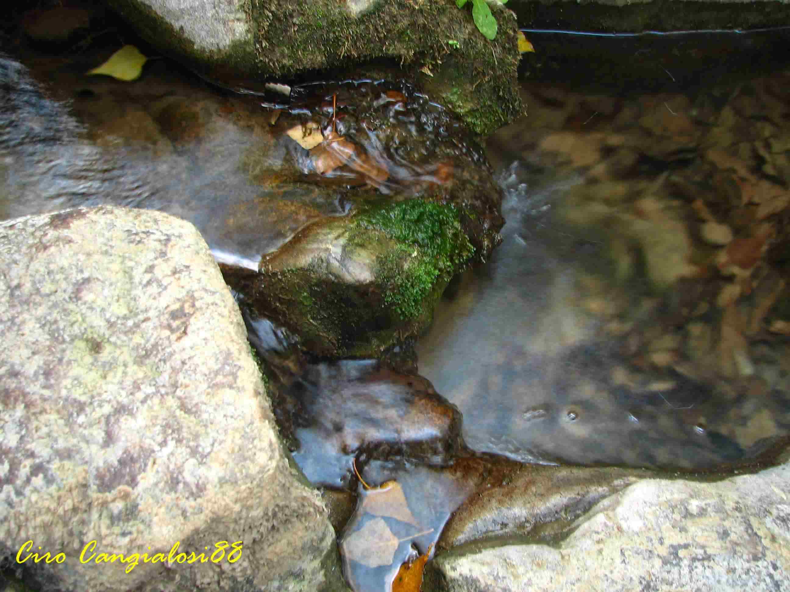 Il movimento dell''acqua